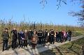 Winterwandeling 13-3-2016 org. M & J Menten (21)